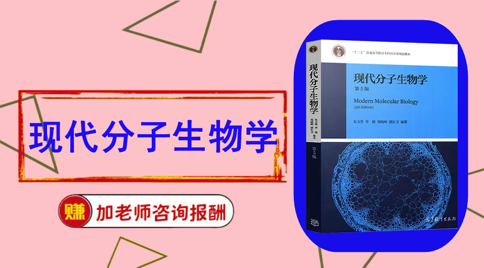 《现代分子生物学》思维导图资料制作