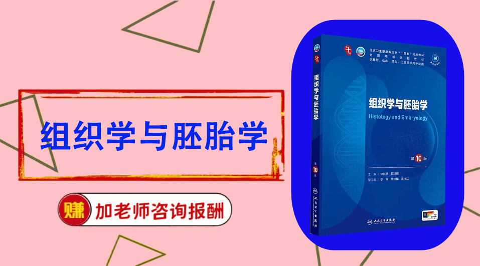 《组织学与胚胎学》思维导图资料制作