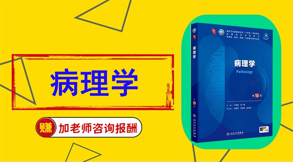 《病理学》Word视频课程制作