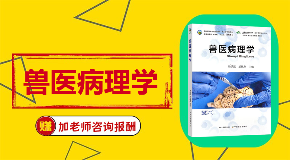 《兽医病理学》Word视频课程制作