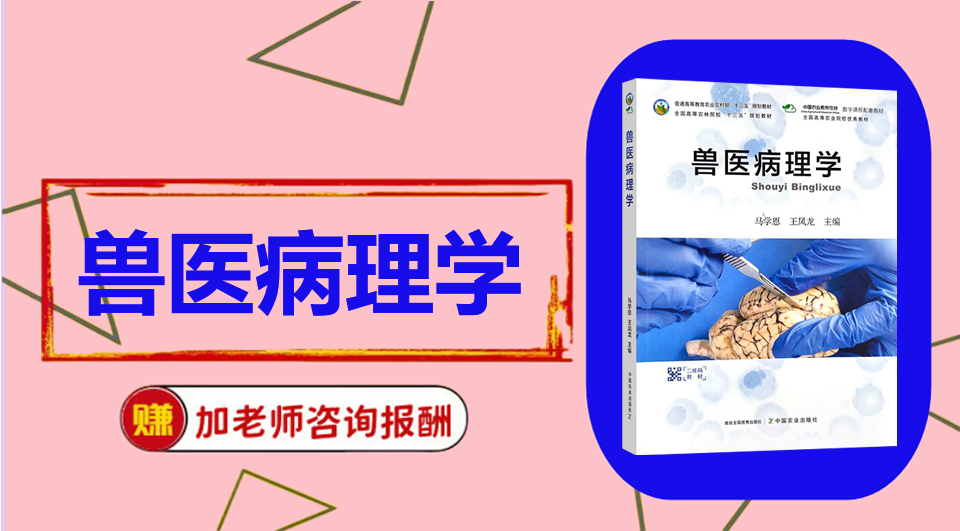 《兽医病理学》思维导图资料制作