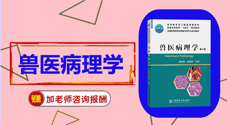 《兽医病理学》思维导图资料制作
